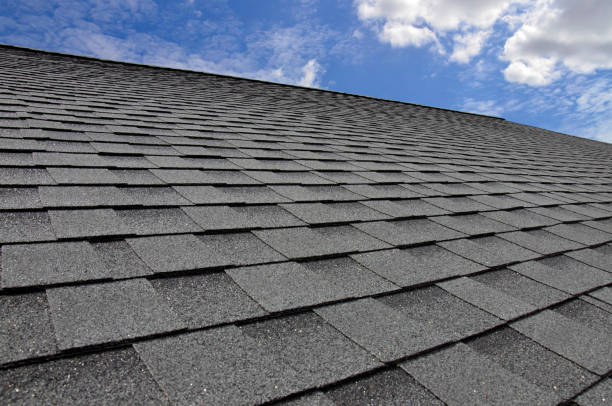 Best Roof Inspection  in USA